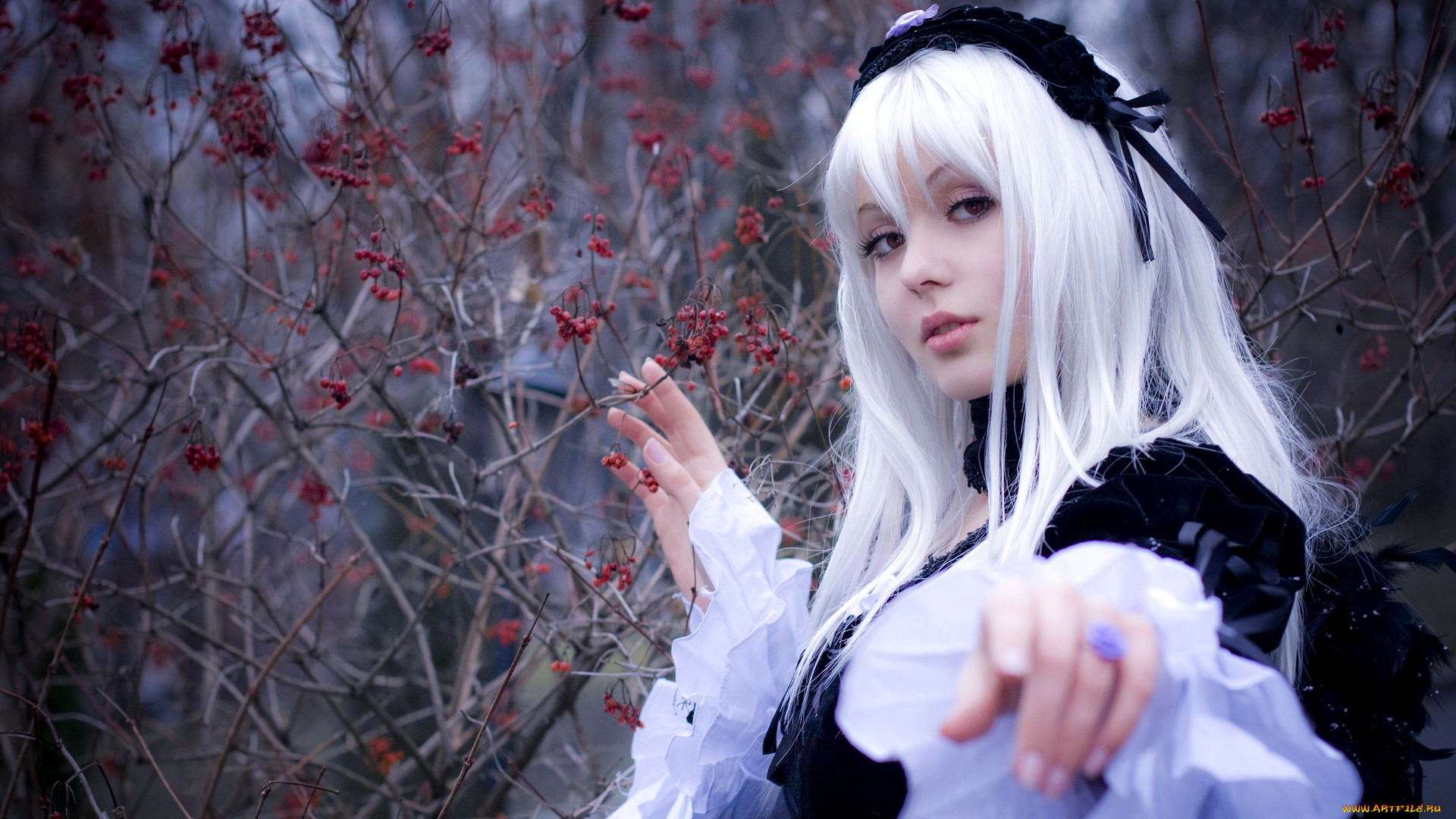 , cosplay , , , , , , , rozen, maiden, , suigintou